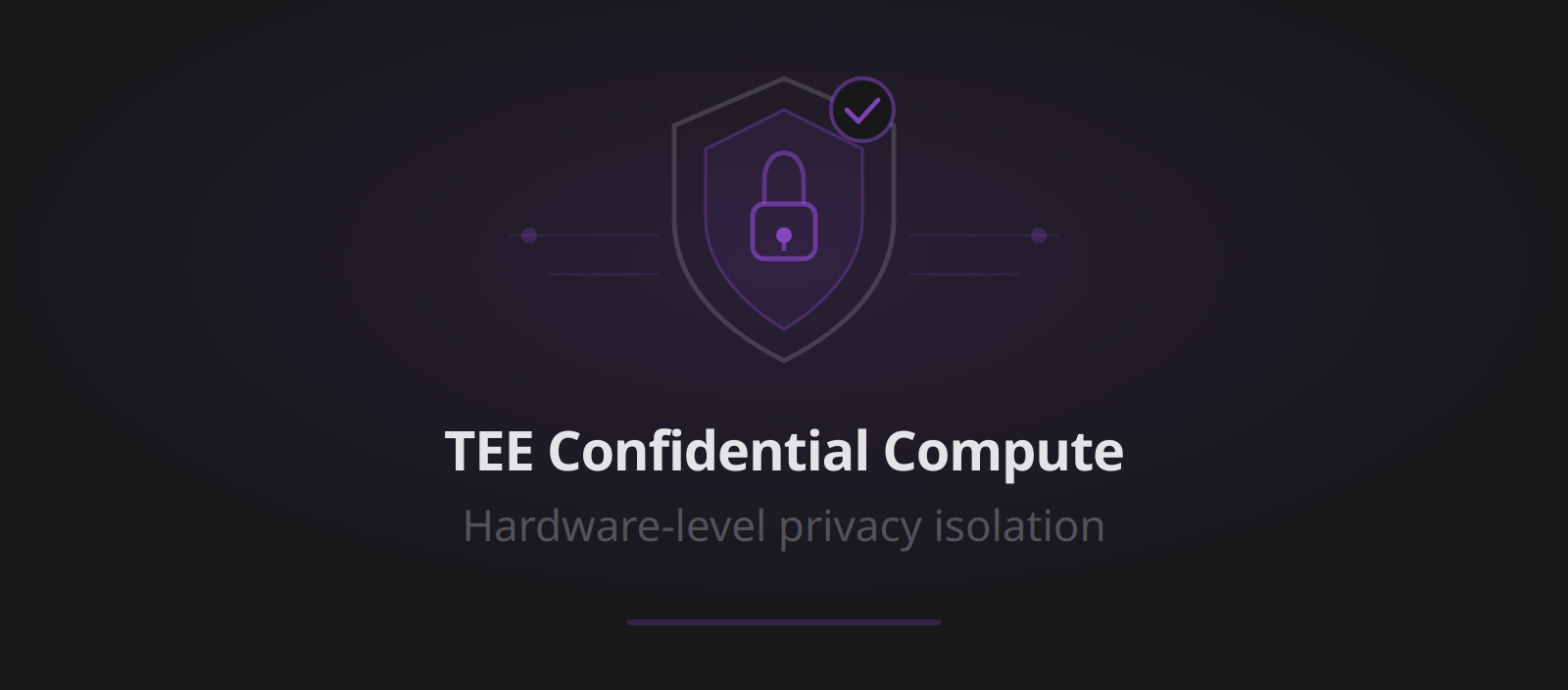 TEE confidential compute — hardware-level privacy with secure enclaves